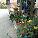 Lemontree House فندق مبيت وإفطار باكولي