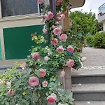 Lemontree House 3*