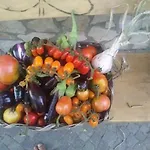 فندق مبيت وإفطار Lemontree House باكولي
