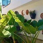 B&B Lemontree House 3*