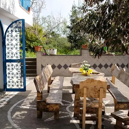 Lemontree House 3*