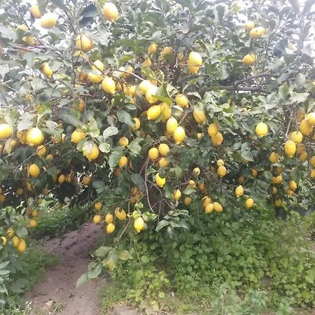 Lemontree House Bacoli