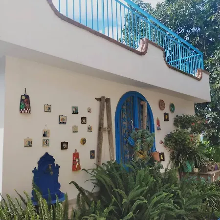 Lemontree House Bed & Breakfast