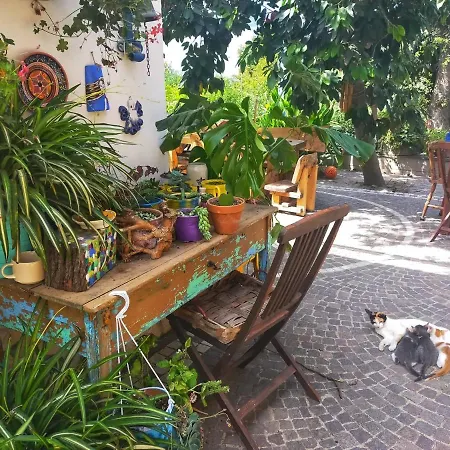 Bed & Breakfast Lemontree House Bacoli