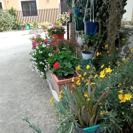 Lemontree House Bed & Breakfast Bacoli