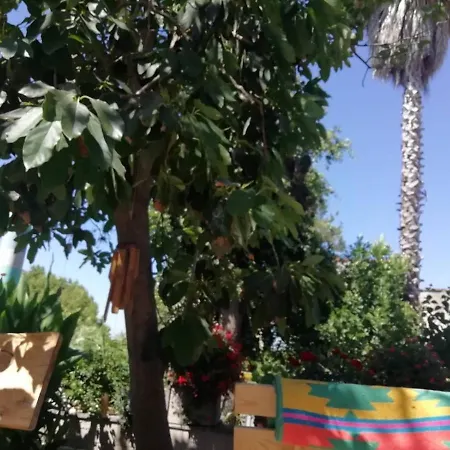 Lemontree House *