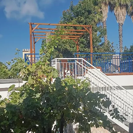 Lemontree House Bed & Breakfast *