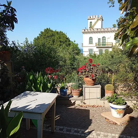 Bed & Breakfast Lemontree House *