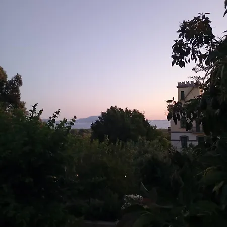 Lemontree House Bed & Breakfast *