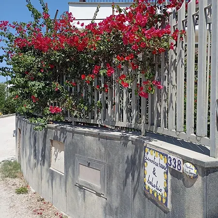 Bed & Breakfast Lemontree House *