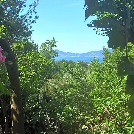 Bed & Breakfast Lemontree House 3*