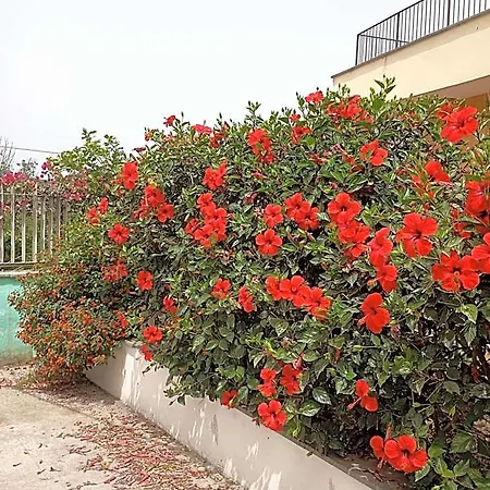 Lemontree House Bacoli