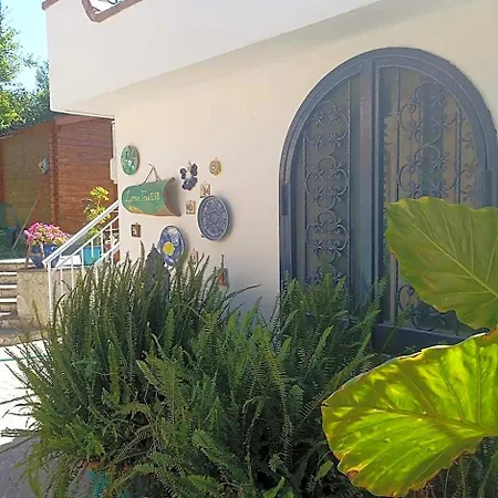 Lemontree House Frühstückspension